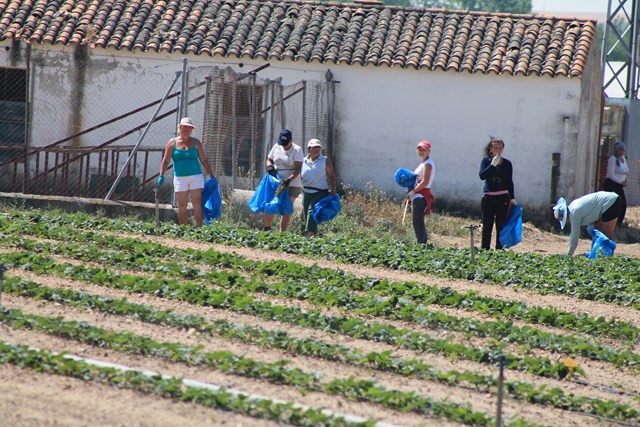 Jóvenes agricultoras trabajando en el campo