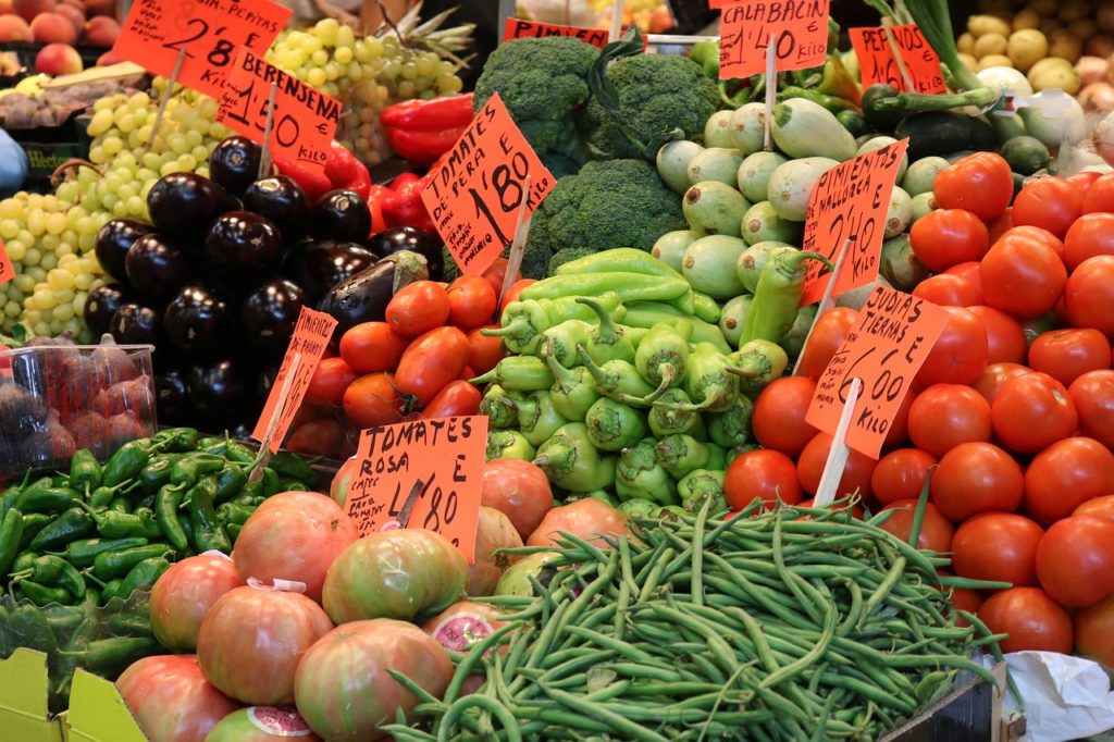 Hortalizas y verduras cultivadas