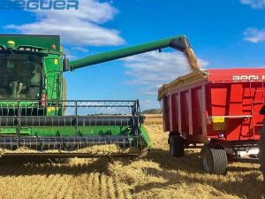 Bañera agrícola Beguer de dos ejes Bañera agrícola Beguer de dos ejes tipo galera
