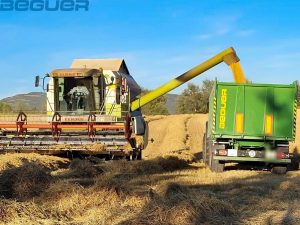 Bañera tándem verde Beguer Bañera tándem verde Beguer